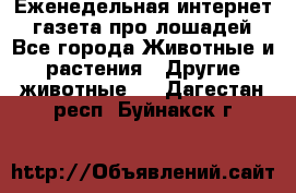 Еженедельная интернет - газета про лошадей - Все города Животные и растения » Другие животные   . Дагестан респ.,Буйнакск г.